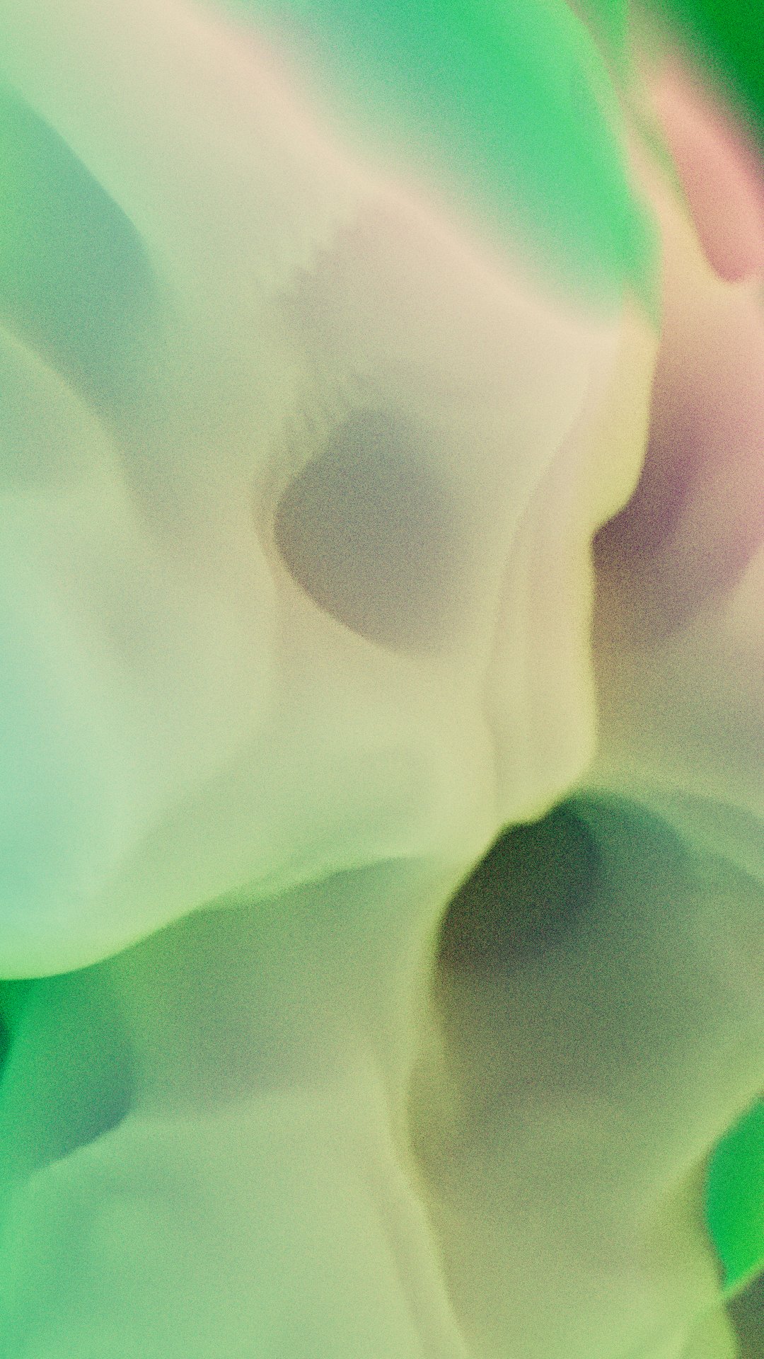 Frāctus — still 09